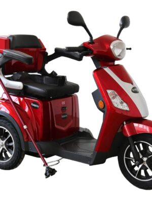 Rolektro, E-Trike 500 Watt V.2