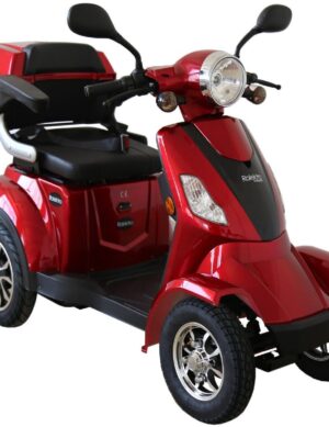 Rolektro7, E-Quad 25 - 1000 Watt