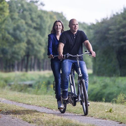 Tandemové elektrokolo Van Raam Twinny - Obrázek 5