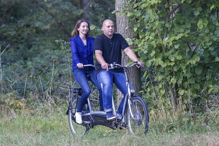 Tandemové elektrokolo Van Raam Twinny - Obrázek 6